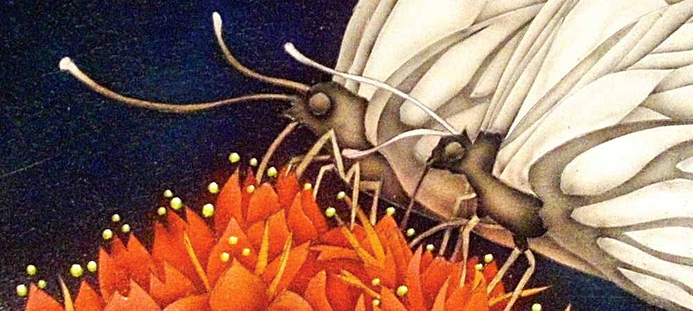 Tree Nymphs